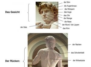 Как описать человека: предметы одежды, черты характера, части тела на немецком языке